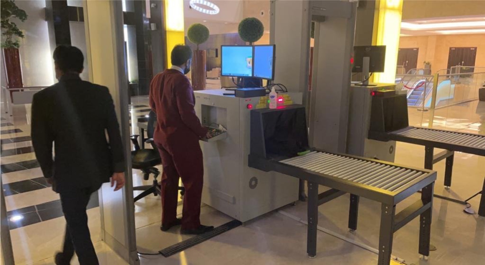 Security Professional